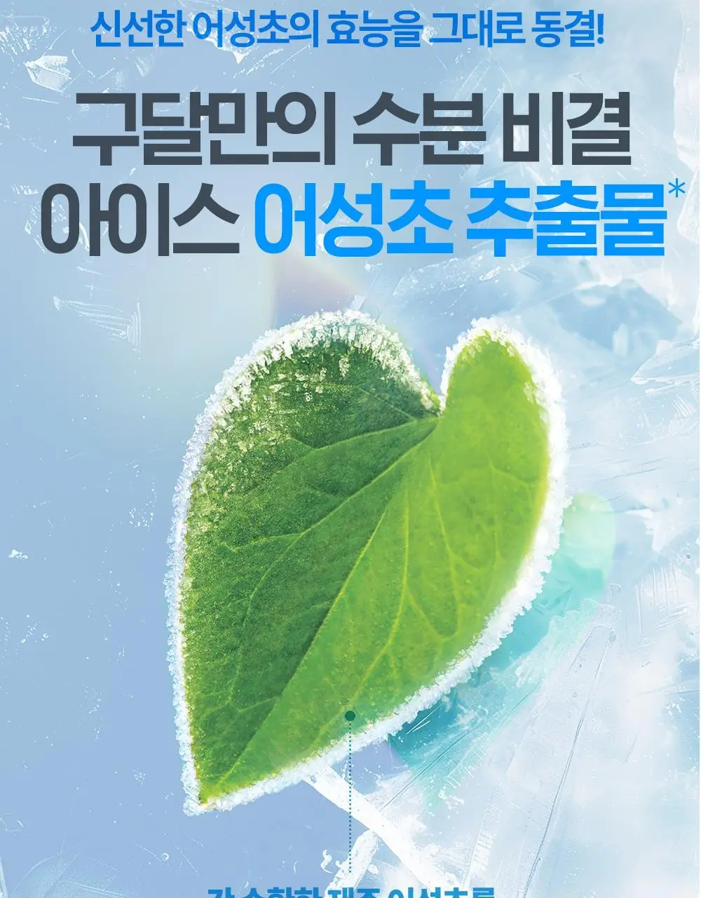 [단독기획] 구달 어성초 히알루론 수딩 클리어 패드 70매 (+10매 증정) 상세페이지 16